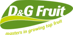 D&G Fruit