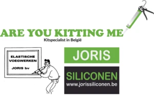 Joris Siliconen