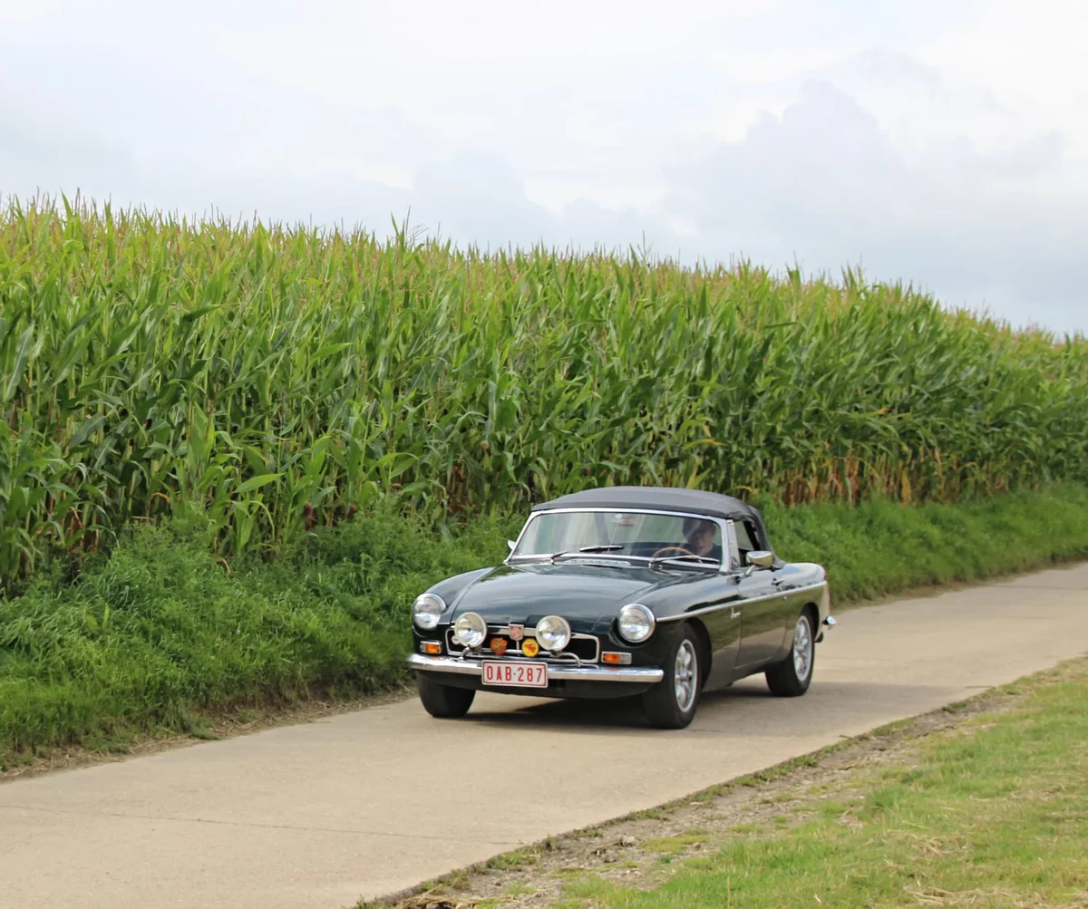 244409999 5010690892281665 2367172659997289781 n