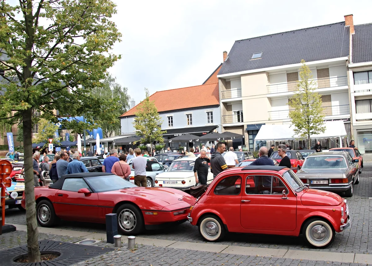 244375652 5010680282282726 659377828578112815 n